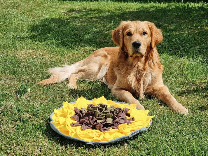 solsikke snuse tæppe 2