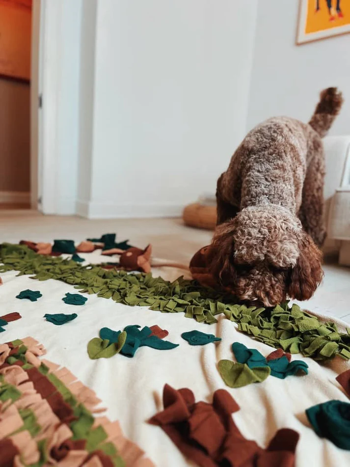 snuse tæppe skovbund 2