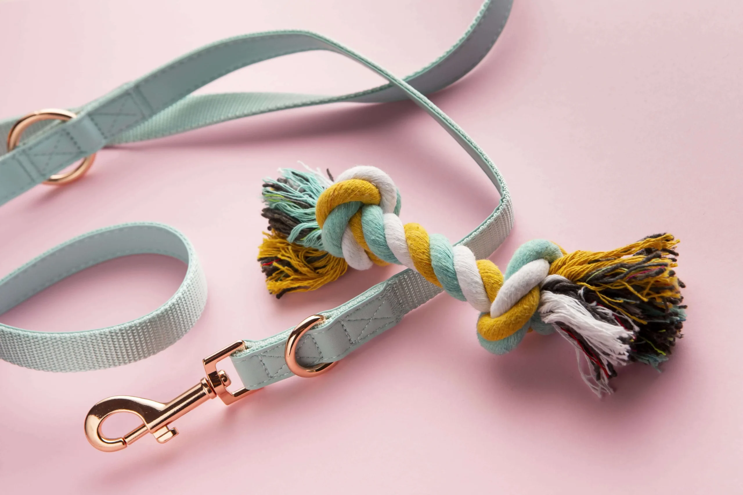 De bedste 8 bedste hundesnore