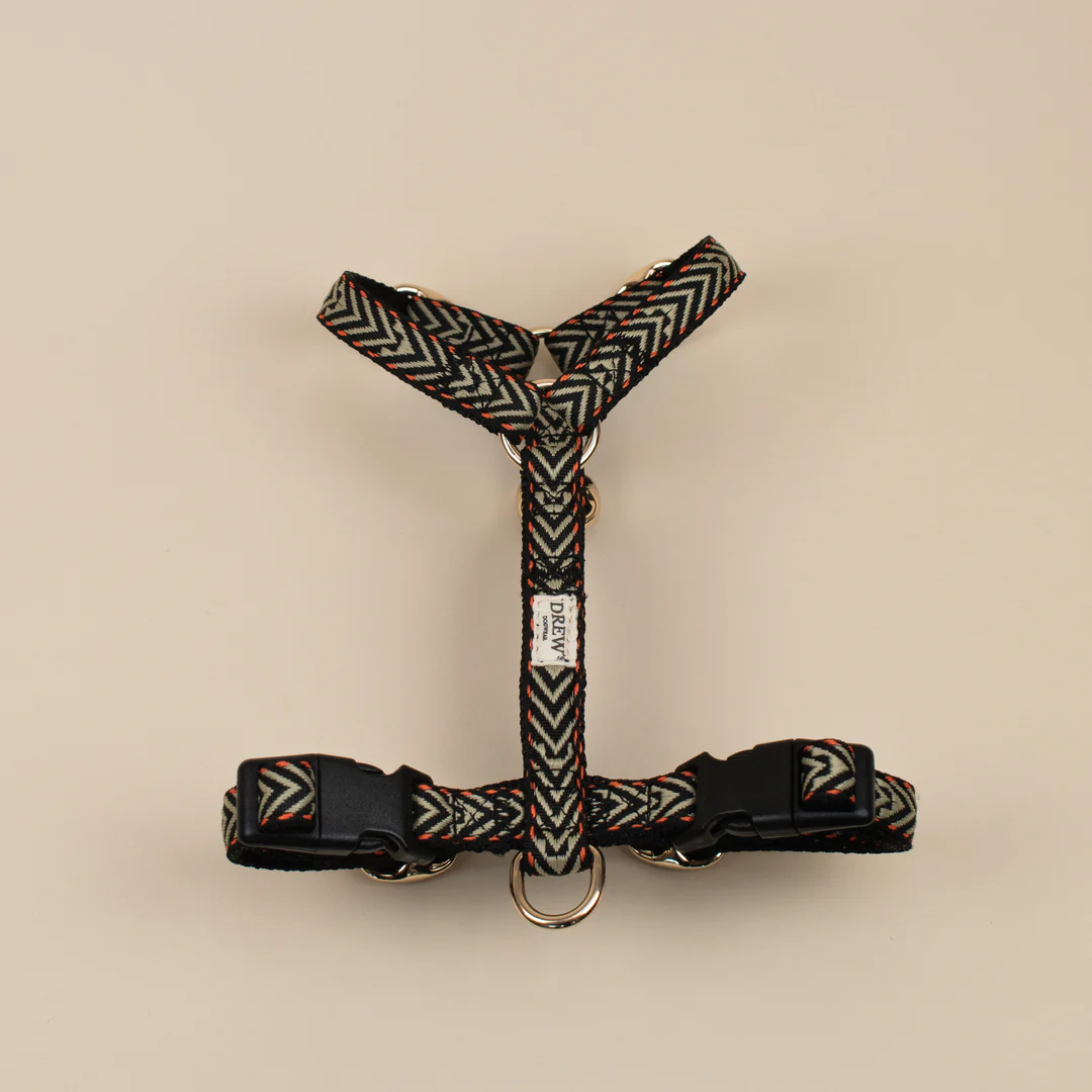 De bedst testede hundeseler 2025